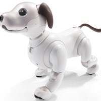 Aibo el perro robot